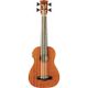 Eko Uku Duo Ukubass Fretless elettrificato in mogano