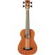 Eko Uku Duo Ukubass Fretless elettrificato in mogano