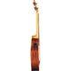 Eko Uku Duo Ukubass Fretless elettrificato in mogano