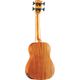 Eko Uku Duo Ukubass Fretless elettrificato in mogano