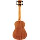 Eko Uku Duo Ukubass Fretless elettrificato in mogano