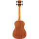 Eko Uku Duo Ukubass Fretless elettrificato in mogano