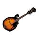 Ibanez M520 Brown Sunburst Mandolino