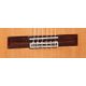 Alhambra 5P CWE Chitarra classica amplificata spagnola