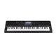 Casio CT-X800 Tastiera arranger dinamica 61 tasti