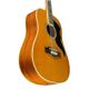 Eko Ranger XII VR EQ Natural Top Stained Chitarra acustica 12 corde amplificata