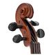 Stentor Student II VL1200 Violino 4/4 completo