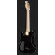 Harley Benton TE-40 TBK Deluxe Series Chitarra elettrica