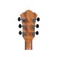 Ibanez AE245 NT Chitarra elettroacustica naturale