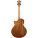 Ibanez AE245 NT Chitarra elettroacustica naturale