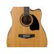 Ibanez PF17ECE LG Chitarra acustica elettrificata Natural Low Gloss