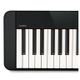 Casio Privia PX S1000 Black Stage Piano