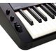 Casio Privia PX S3000 con stand in legno + cuffie