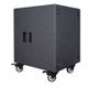 Proel S15A Subwoofer attivo 15" 600W