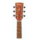 Ibanez PF10-OPN Open Pore Natural Chitarra acustica