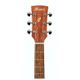 Ibanez PF10-OPN Open Pore Natural Chitarra acustica