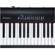 Roland FP30 BK Black Pianoforte digitale 88 tasti pesati