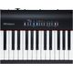 Roland FP30 BK Black Pianoforte digitale 88 tasti pesati + copritastiera omaggio