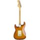 Fender American Performer Stratocaster RW Honey Burst Chitarra elettrica con borsa