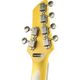 Eko Aire Relic Sunburst Chitarra elettrica