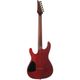 Ibanez SEW761FM Chitarra elettrica Natural Flat