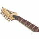 Ibanez SEW761FM Chitarra elettrica Natural Flat