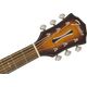 Fender FSR FA325CE Dreadnought Mocha Burst LR Chitarra acustica elettrificata