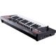 Roland A-300 PRO Tastiera midi USB 32 tasti