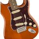 Fender Player Stratocaster PF Aged Natural Chitarra elettrica