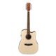 Ibanez PF10CE-OPN Open Pore Natural Pack Chitarra acustica elettrificata + borsa + tracolla + plettri omaggio