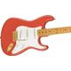 Fender Squier FSR Classic Vibe '50s Stratocaster MN Fiesta Red with Gold Hardware Chitarra elettrica