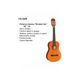 DAM FG30KN Chitarra classica naturale 1/4