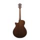 Ibanez AEG50 DHH Dark Honey Burst High Gloss Chitarra acustica elettrificata