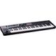 Roland A-800 PRO Tastiera midi USB 61 tasti