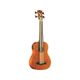 Eko Uku Duo Ukubass Fretless elettrificato in mogano