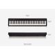 Roland FP-10 BK Black Pianoforte digitale con borsa+ copritastiera in omaggio