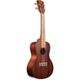 Kala KA-15C Ukulele concerto in mogano satinato con borsa