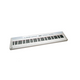 ECHORD SP10 White Pianoforte digitale 88 tasti pesati bianco