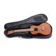 Gewa Manoa K-CO-E Ukulele concerto elettrificato con borsa