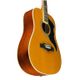 Eko Ranger VI VR Natural top stained Chitarra acustica naturale