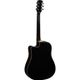 Eko Ranger CW EQ Black Chitarra acustica elettrificata nera