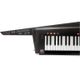 KORG RK100S2 BLK Keytar 37 tasti