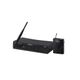 Proel WM240B Sistema wireless per chitarra e basso