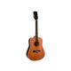 EKO NXT D XII Natural Chitarra acustica 12 corde naturale