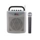 Karma BM 861MP3 Diffusore amplificato con radiomicrofono