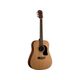 Washburn AD5 Chitarra acustica naturale