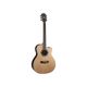 Washburn AG20CE Chitarra acustica elettrificata naturale