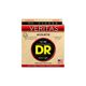 DR STRINGS VTA-10 Veritas Muta di corde per chitarra acustica Extra Light 010-048