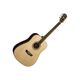 Washburn WD20S Natural Chitarra acustica