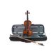 Stentor Graduate VL1700 Violino 4/4 completo